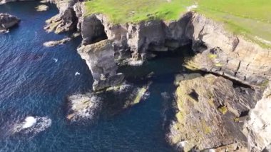 Güneşli bir günde İskoçya 'nın Deniz Yığını ve Resimli Sahili üzerinde Uçan Kuşların Hava Görüntüsü, İHA