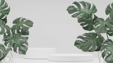 Monstera bitkileri süslemesi ve boş podyum boş ürün rafı ayakta duruyor. 3B görüntüleme.