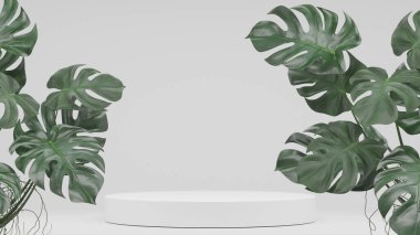 Monstera bitkileri süslemesi ve boş podyum boş ürün rafı ayakta duruyor. 3B görüntüleme.