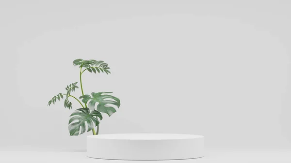 stock image Monstera plants decoration and Empty podium Blank product shelf standing backdrop. 3D rendering.