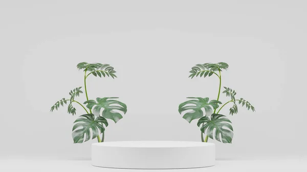 Monstera Növények Dekoráció Üres Pódium Üres Termék Polc Álló Háttér — Stock Fotó