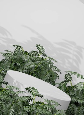 Boş podyum Boş ürün rafı ayakta duruyor.