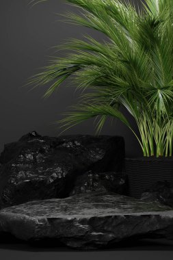 Kaya taşı podyumu Boş ürün rafı ayakta duruyor.