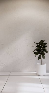 beyaz boş oda minimalist arkaplan, 3B görüntüleme