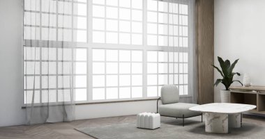 Dekorasyon, lamba, bitki, halı ve 3D işlemeli boş odadaki dolap rafları.