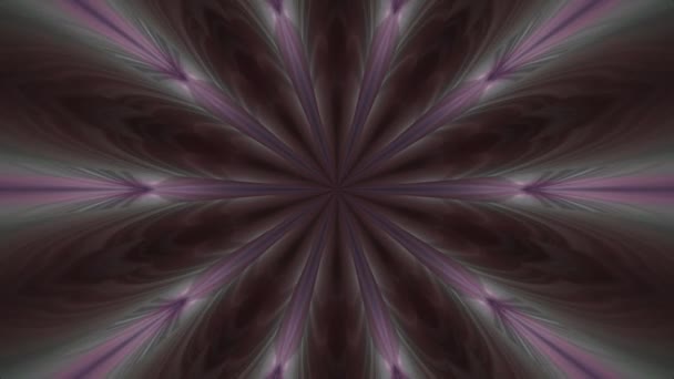 Curved Purple Pink Green Beams Light Form Floral Patterns Animated — Stock Video