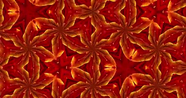 Świecący Kalejdoskop Ognistych Kwiatów Asymetria Animowane Tło Film Klubowy Niekończący — Wideo stockowe