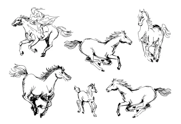 Conjunto Desenhos Lápis Tinta Cavalos Esboço Esboço Fundo Branco Clipart — Vetor de Stock