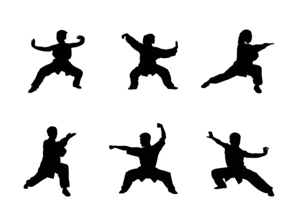 Wushu Kung Taekwondo Aikido Σιλουέτα Ανθρώπων Απομονωμένων Λευκό Φόντο Αθλητικές — Διανυσματικό Αρχείο