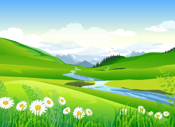 Printemps Paysage Été Montagnes Vallées Fluviales Fleurs Sauvages Camomille Fond — Image vectorielle