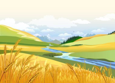 Dağların ve nehir vadilerinin sonbahar manzarası. Doğada buğday kulakları. Vektör illüstrasyonu