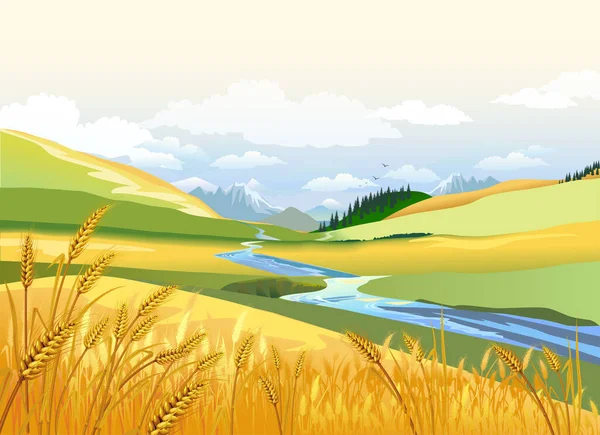 Autumn landscape of mountains and river valley hills. Ears of wheat in nature. Vector illustration