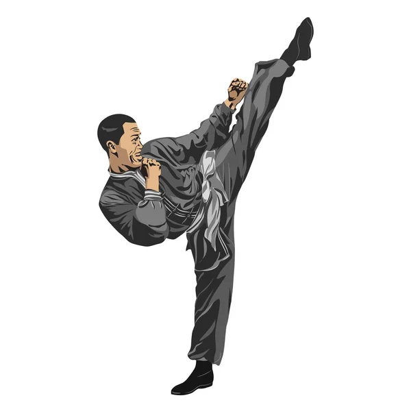 Man Guy Shows Kick Wushu Taekwondo Karate Stance Vector Graphics — Stock Vector
