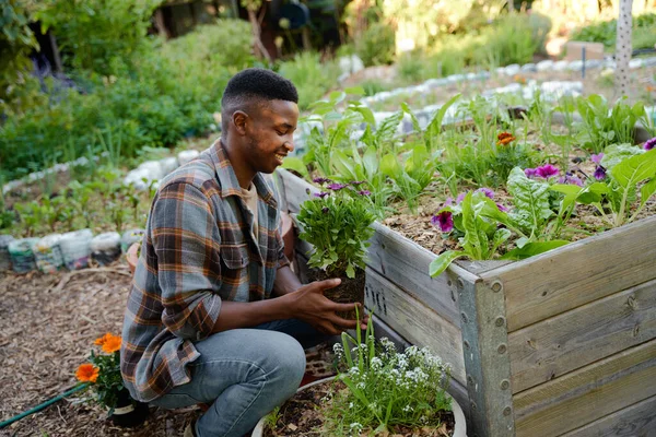 Happy young black man in checked shirt smiling and crouching while holding flowers in garden center