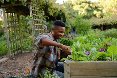 Happy young black man wearing checked shirt smiling while using tool in flowerbed in garden center