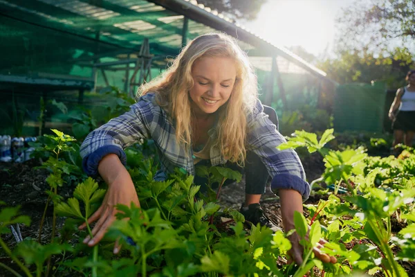 Happy young caucasian woman smiling while crouching by lush plants while gardening at garden center
