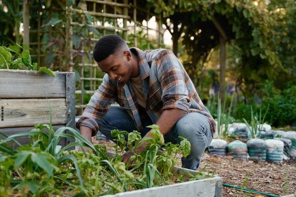 Happy young black man wearing checked shirt crouching while gardening by flowerbed in garden center
