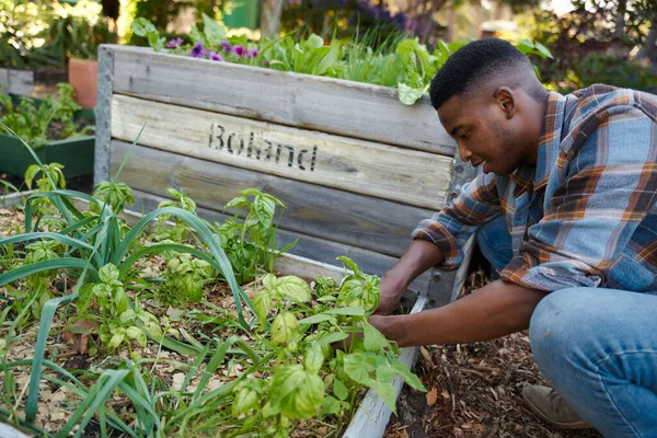 Profile view of happy young black man wearing checked shirt crouching while gardening in garden center