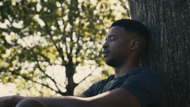 Tişörtlü Genç Siyah Adam Parktaki Ağacın Altında Dinlenirken Gözleri Kapalı — Stok video