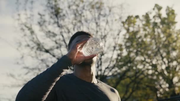 公園の木によって休憩や飲料水を取ってスウェットシャツのアスレチック若い黒人男性 — ストック動画