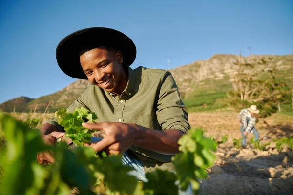 Gelukkig Jong Multiraciaal Paar Dragen Casual Kleding Doen Agrarische Activiteiten — Stockfoto