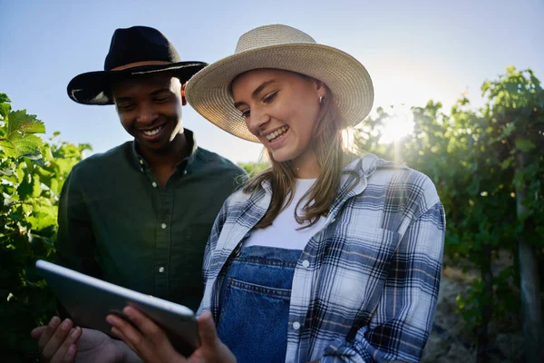 年轻的多种族夫妇穿着休闲装 一边微笑 一边拿着数码平板电脑 挨着农场里的植物 — 图库照片