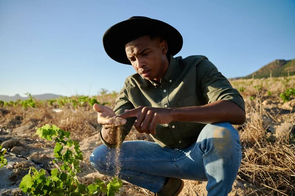 Młody Czarny Mężczyzna Ubrany Kapelusz Przyczajony Badający Brud Obok Roślin — Zdjęcie stockowe