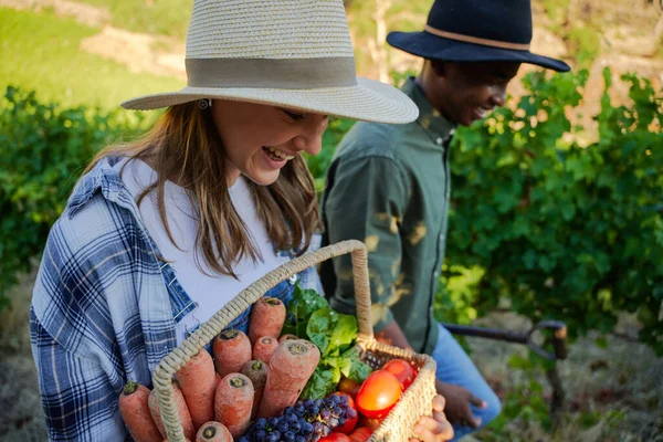快乐的多种族年轻夫妇穿着休闲装 带着一篮新鲜蔬菜在农场里嬉笑 — 图库照片