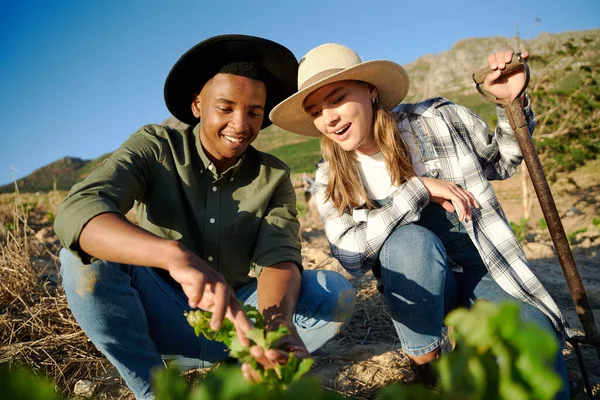 年轻的多种族夫妇 身穿休闲装 蜷缩在农场植物旁 手持水叉 — 图库照片