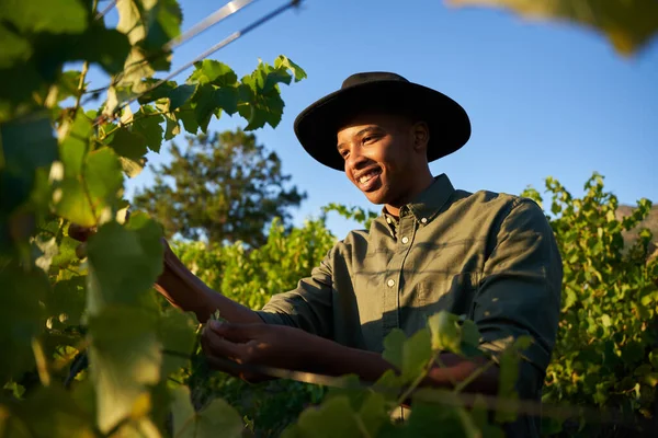 農場で作物を収穫しながら輝いた帽子をかぶった若い黒人男性 — ストック写真