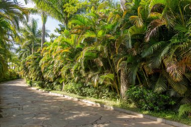 Brumadinho, Brazil - March 6, 2015: the entrance path to visit the Inhotim park, open air museum clipart