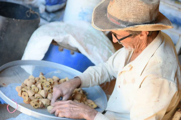 ブラジルの代表的なセラードフルーツを収穫する農業労働者 — ストック写真