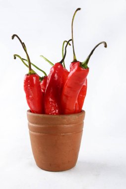 Kırmızı biberli baharatlı sebze, baharatlandırmada kullanılan doğal sebze ve siyah arka planda izole edilmiş vejetaryen yemeği turşusu.