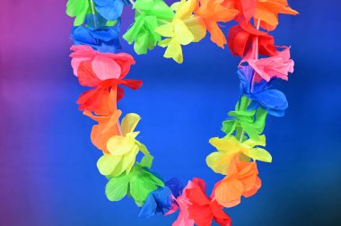 carnival costume mask brazilian carnival party, joy fun revelry