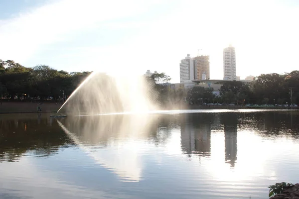Goiania Goias Brasile Parco Pubblico Urbano Con Erba Lago Foresta — Foto Stock