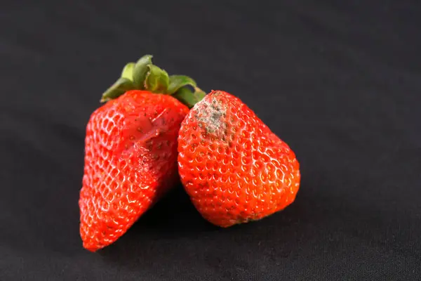 Reife Erdbeerfrüchte Lecker Gesunde Natürliche Nahrung Rote Erdbeerfrucht Rosetten Frucht — Stockfoto