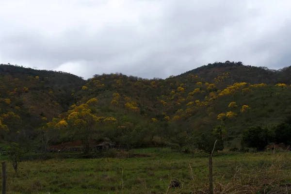 Montañas Colinas Paisajes Interior Brasil Caminos Hermosa Vegetación Rocas Bosques — Foto de Stock