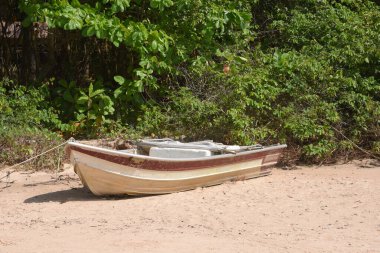 Kum kıyısındaki taşralı balıkçı kanosu. Brezilya 'ya özgü şiirsel bir görüntü.