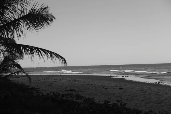Plaża Morze Zachód Słońca Ocean Wybrzeże Brazylijska Natura Morze Fale — Zdjęcie stockowe