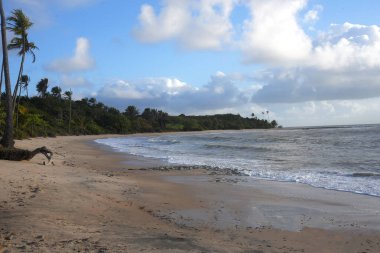Plaj denizi gün batımı okyanus kıyısı Brezilya doğası deniz dalgaları, şafak vakti