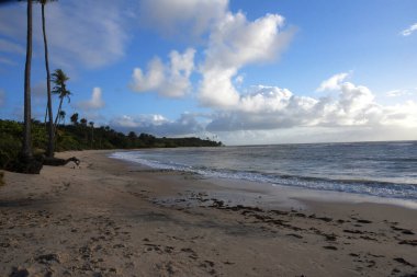 Plaj denizi gün batımı okyanus kıyısı Brezilya doğası deniz dalgaları, şafak vakti
