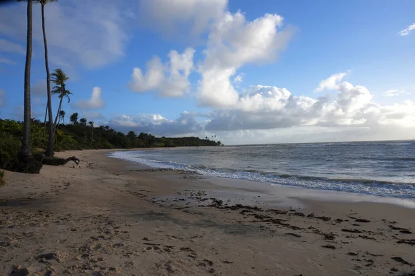 Plaj denizi gün batımı okyanus kıyısı Brezilya doğası deniz dalgaları, şafak vakti