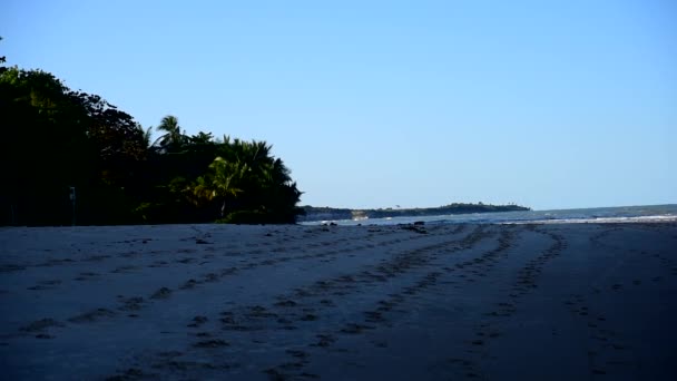Playa Mar Puesta Del Sol Mar Costa Naturaleza Brasileña Mar — Vídeo de stock