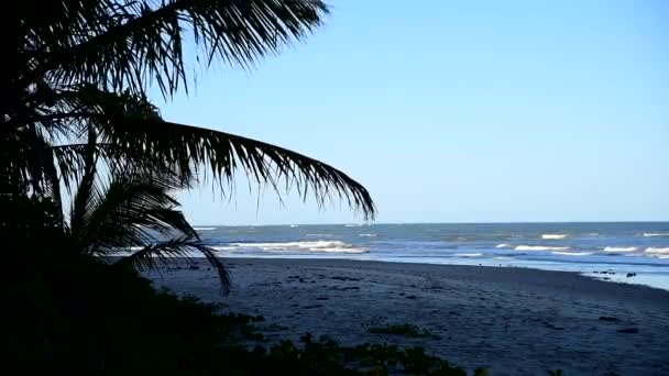 Playa Mar Puesta Del Sol Mar Costa Naturaleza Brasileña Mar — Vídeos de Stock