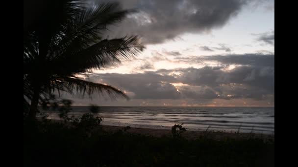 ビーチ海の日没海岸線 ブラジルの自然の波 夜明けの日の出 — ストック動画