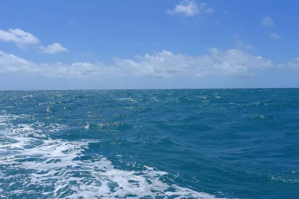 ハイシー オープンオーシャンブルーウォータークジラ海岸セリアム落ち着いた魚釣り人ハンプバッククジラビーチ — ストック写真
