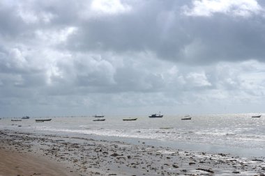  Kirli plajları olan sahil şeridi. Çöp yosunları, hastalık yayılma görüntüsü.