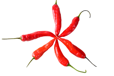 Kırmızı biber turşusu baharatlı doğal yiyecek, doğal sebze çeşni ve beyaz arka planda baharatlı yiyecek.