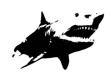 Köpek balığı silueti siyah-beyaz vektör görüntüsü deniz hayvanı portresi, güzellik, vücut çizgisi sanatı. Broşür şablonu ya da web tasarımında kullanmak için.