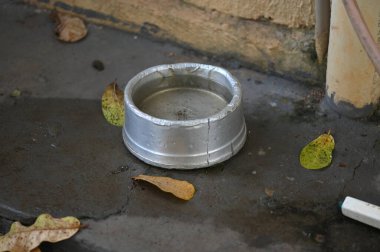 İçinde durgun su olan bir vazoda terk edilmiş plastik bir kase. Manzarayı kapat. Potansiyel üreme alanında sivrisinekler